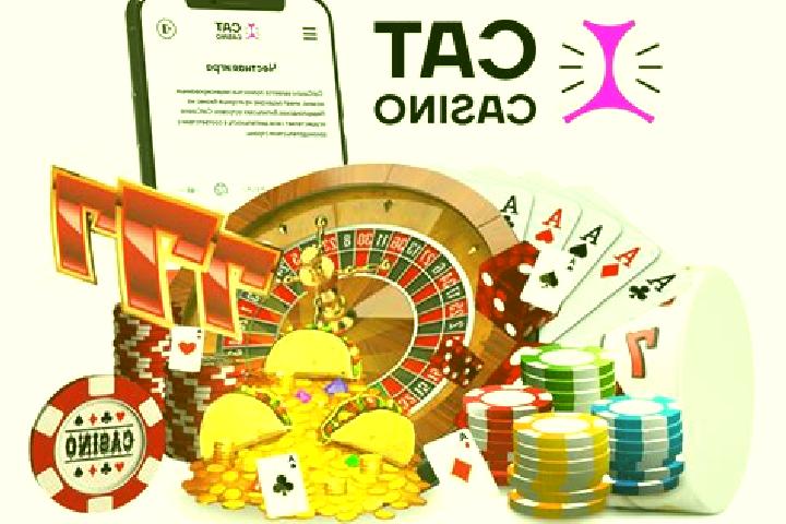 Cat Casino